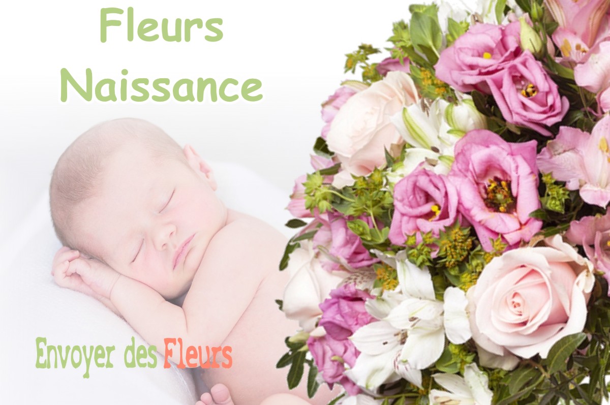 lIVRAISON FLEURS NAISSANCE à ARSAGUE